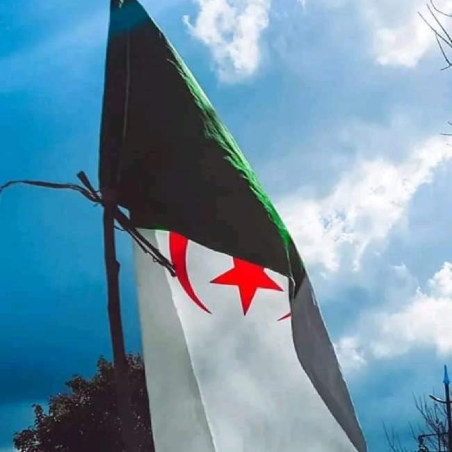 الجزائريون
