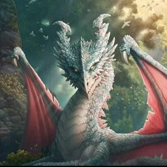 Dragons