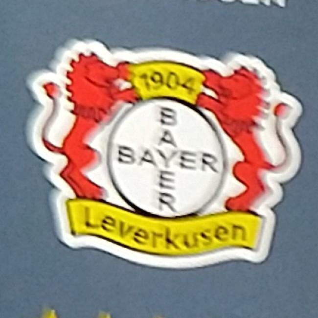 Bayer Leverkusen