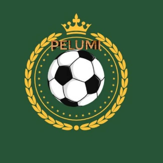 Pelumi FC