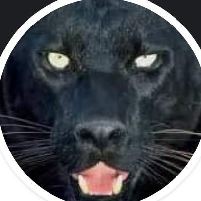 1-Tiger Black     C.