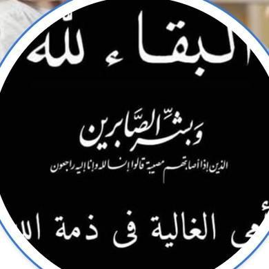 3-Bedo Elzohery