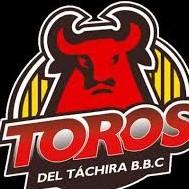 Toros del Táchira