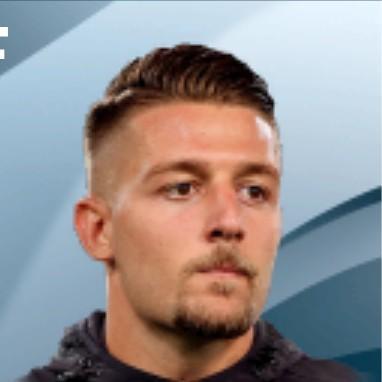 SM Savic