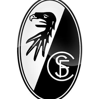FREIBURG - Vinícius