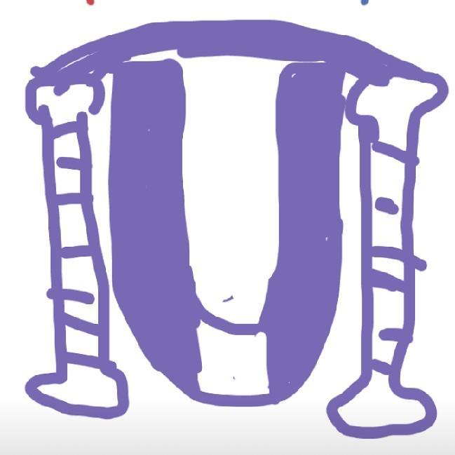 Unic f.c