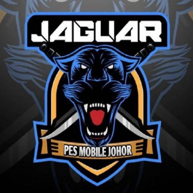 JAGUAR FT