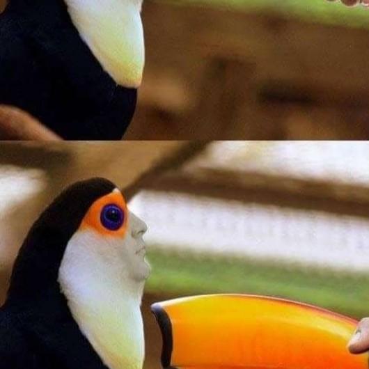 Horpehyemmie