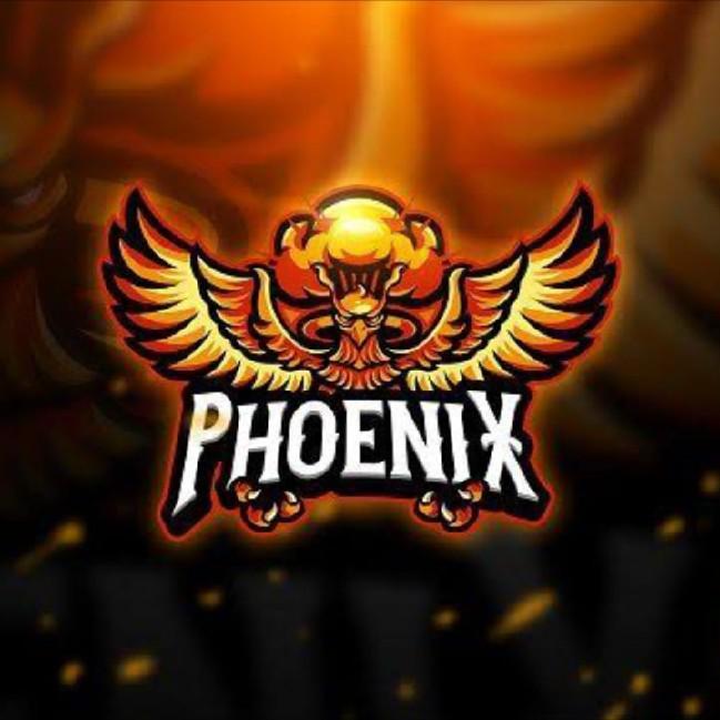 Time Phoenix