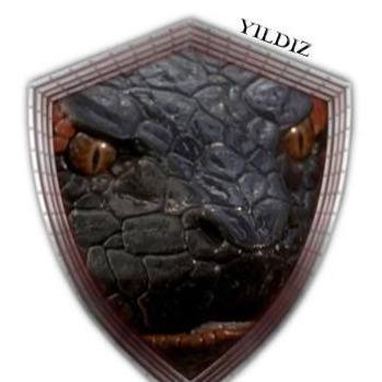 Ergün YILDIZ