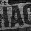 The Shack