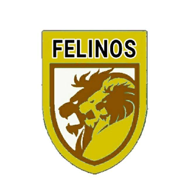 Felinos