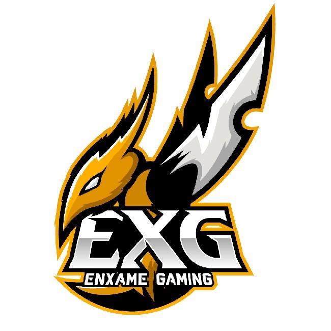 ENXAME GAMING FEM.