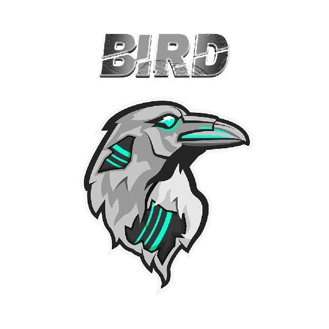 BIRD E-SPORTS