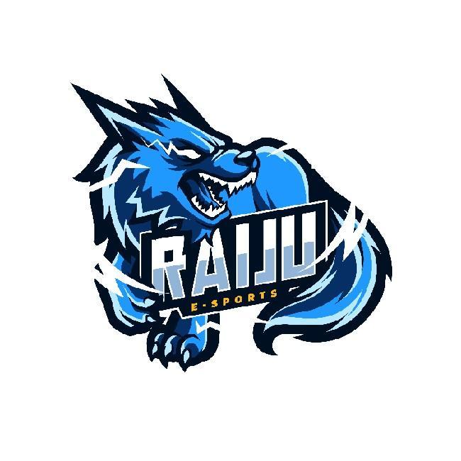 RAIJU E-SPORTS