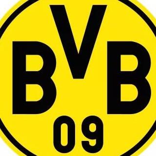 BORUSSIA DORTMUND