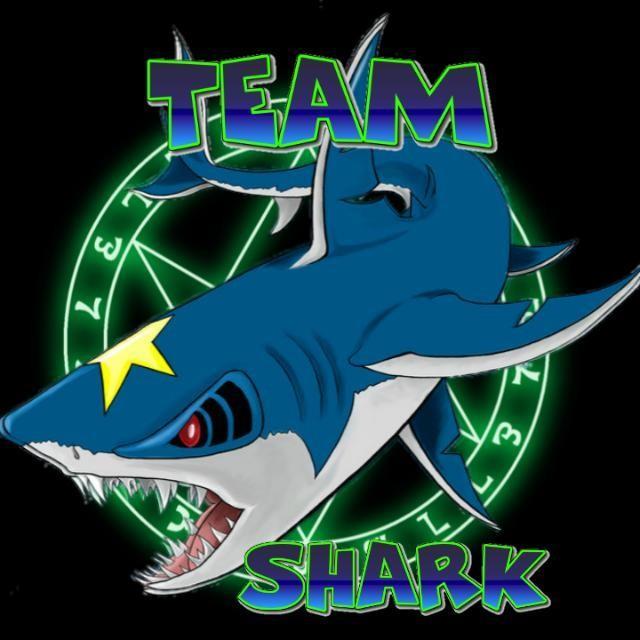 Team shark