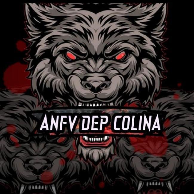 ANFV Deportes Colina