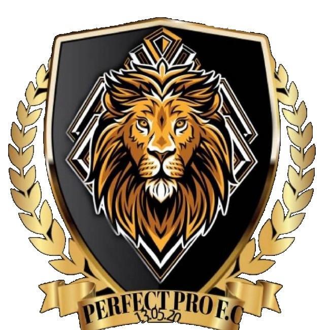 PERFECT PRO