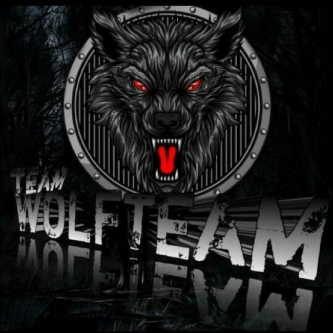 WOLFTEAM