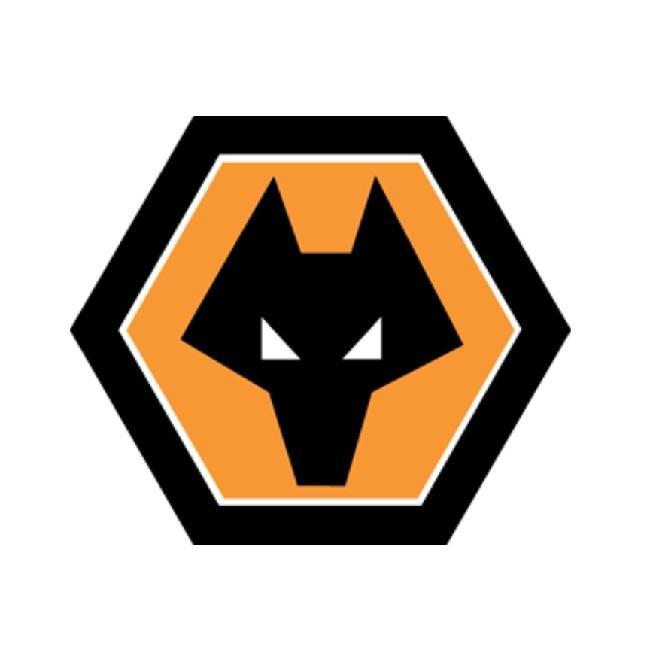 WOLVES FC