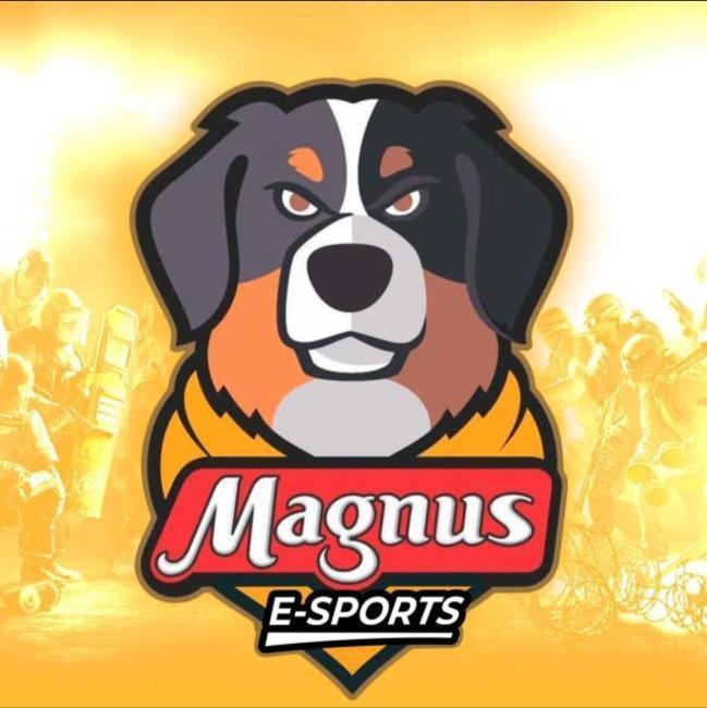 Magnus e-Sports Academy