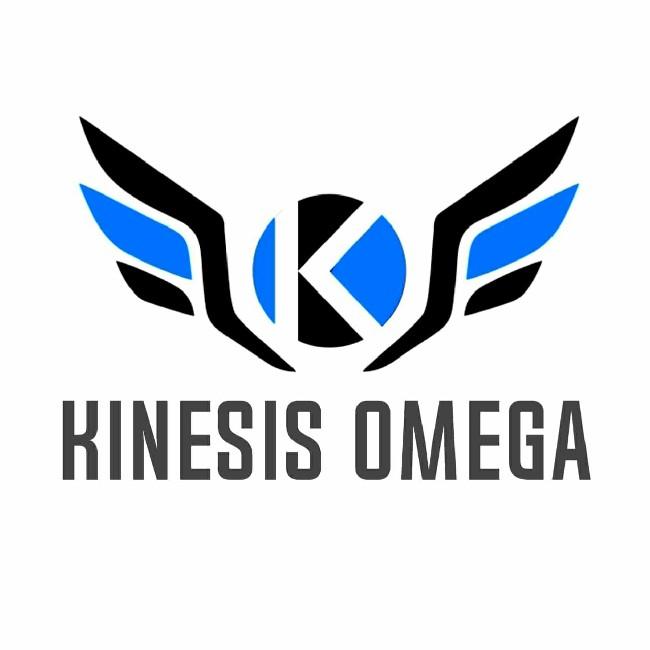 Kinesis omega