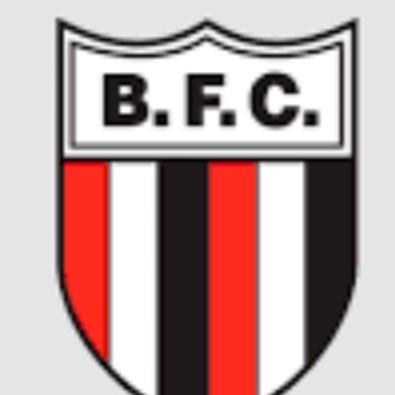 Botafogo Ribeirão preto