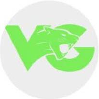 Vici Gaming