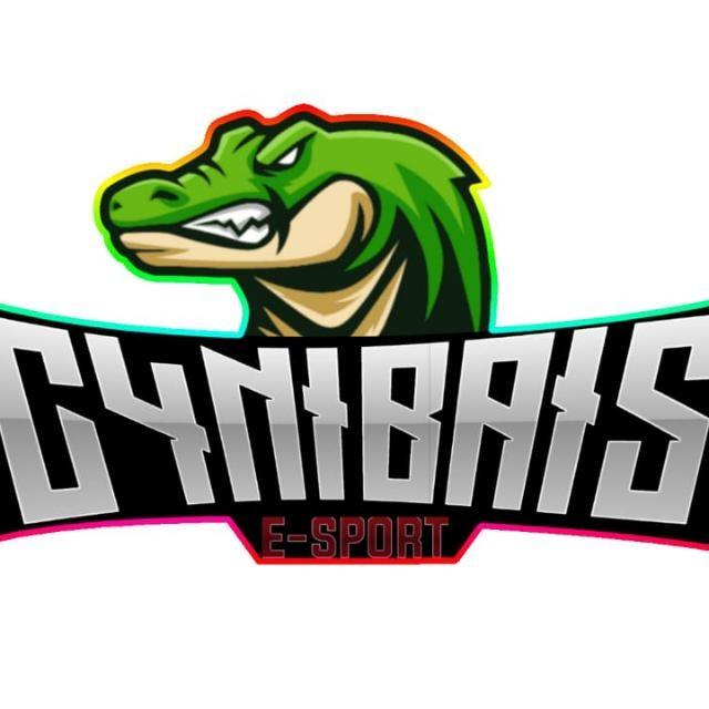 C4NIBAIS