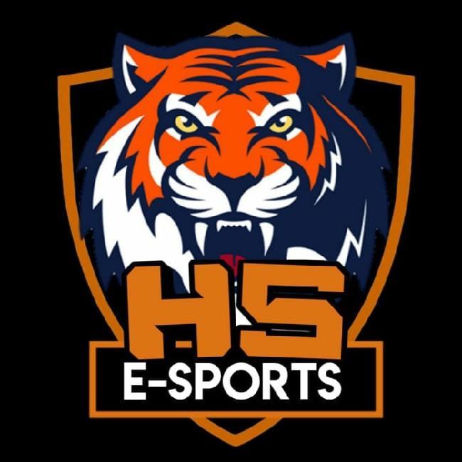 Hs E-sports