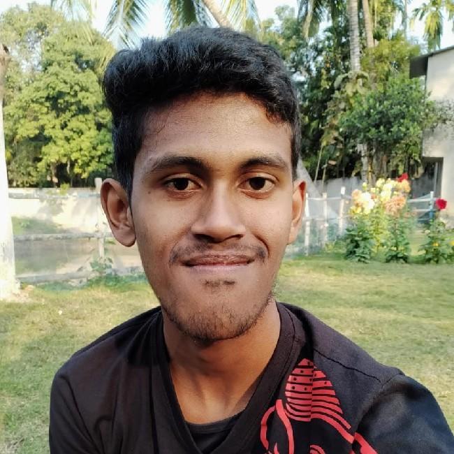 Suvankar saha roy