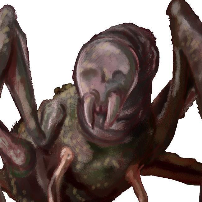 Væver
