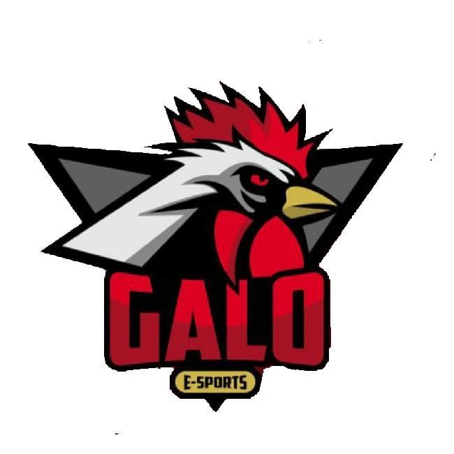 GALO eSPORTS