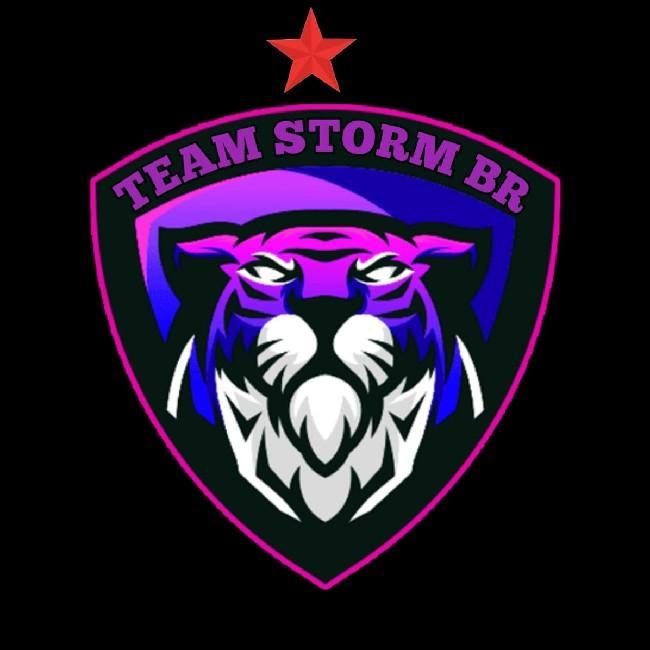 TEAM STORM