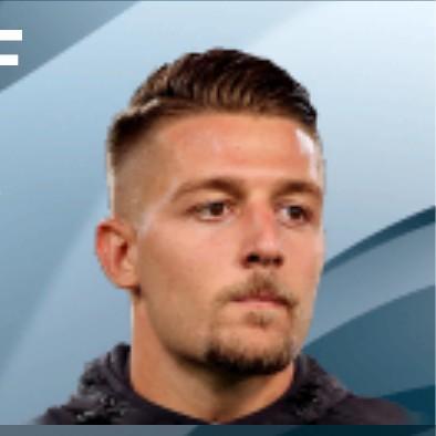 SM Savic