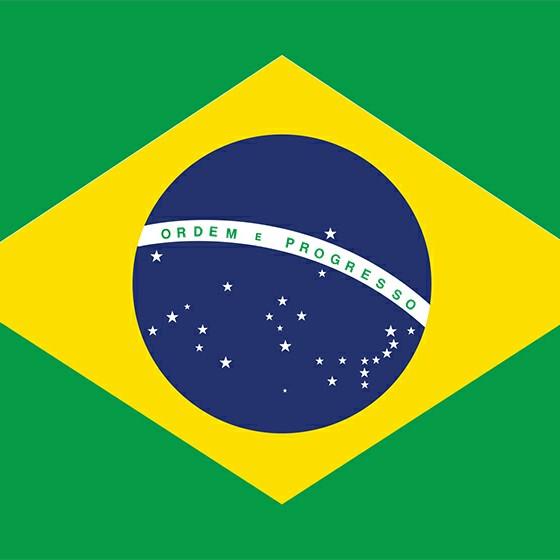 Brazil 1 (Jayden)