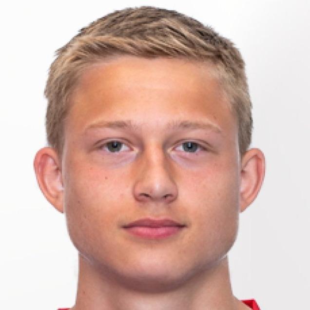 Brage Skaret