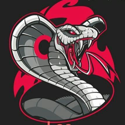 Las Cobras Asesinas