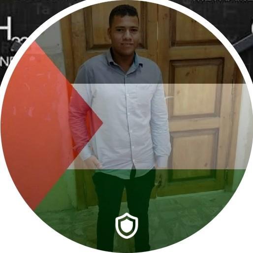 mahmoud hamdy