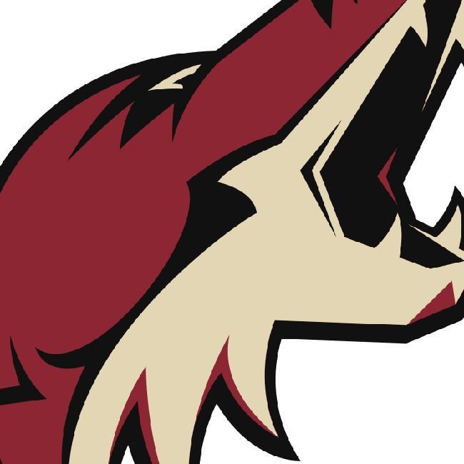 Arizona Coyotes