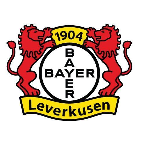 Die Werkself HN