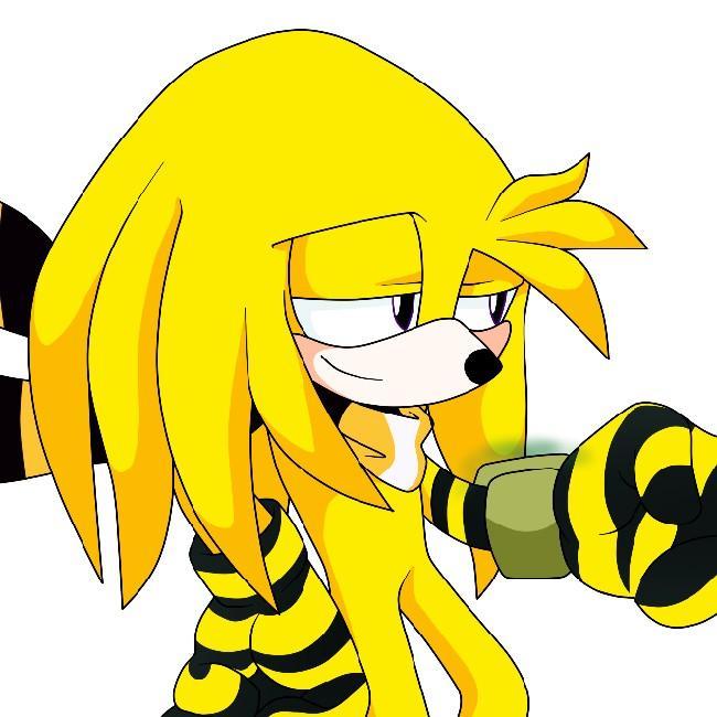 Okay the Echidna