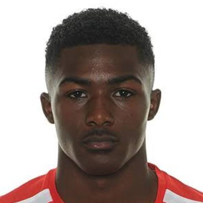 MAITLAND NILES