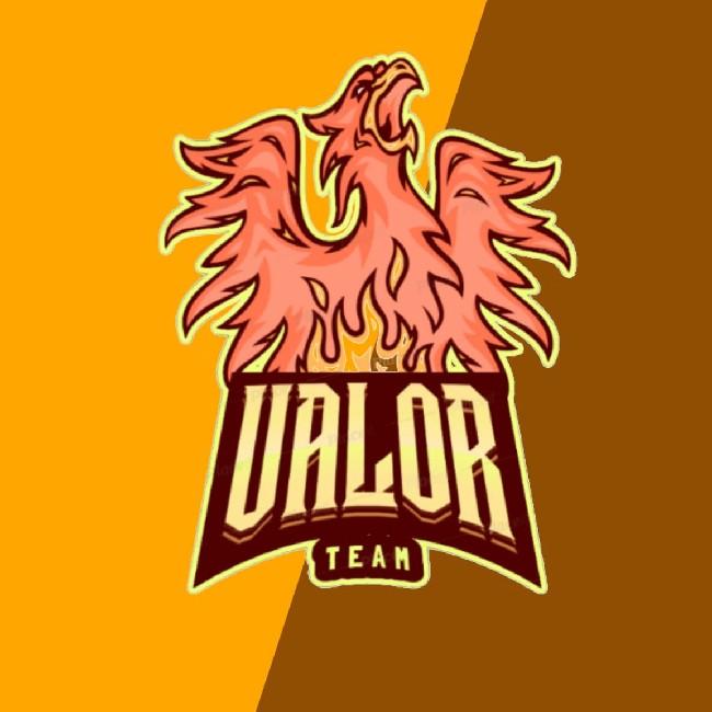 VALOR TEAM