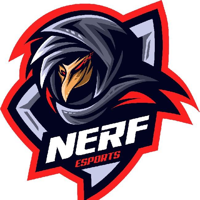 NERF FALLEN ANGELS