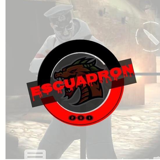 Escuadrón 201
