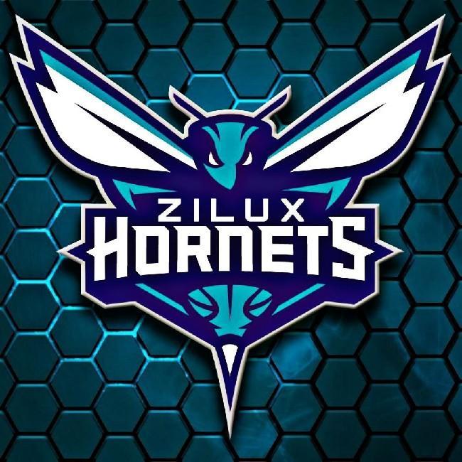 Zilux Hornets