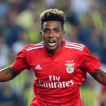 GEDSON FERNANDES