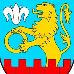 Lwy z Kutna